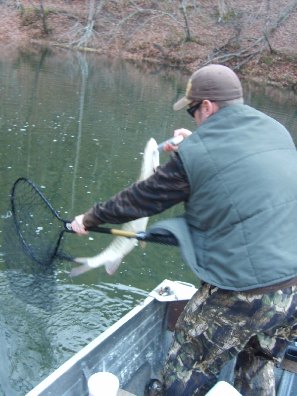 Blue Ridge fishing photo 4