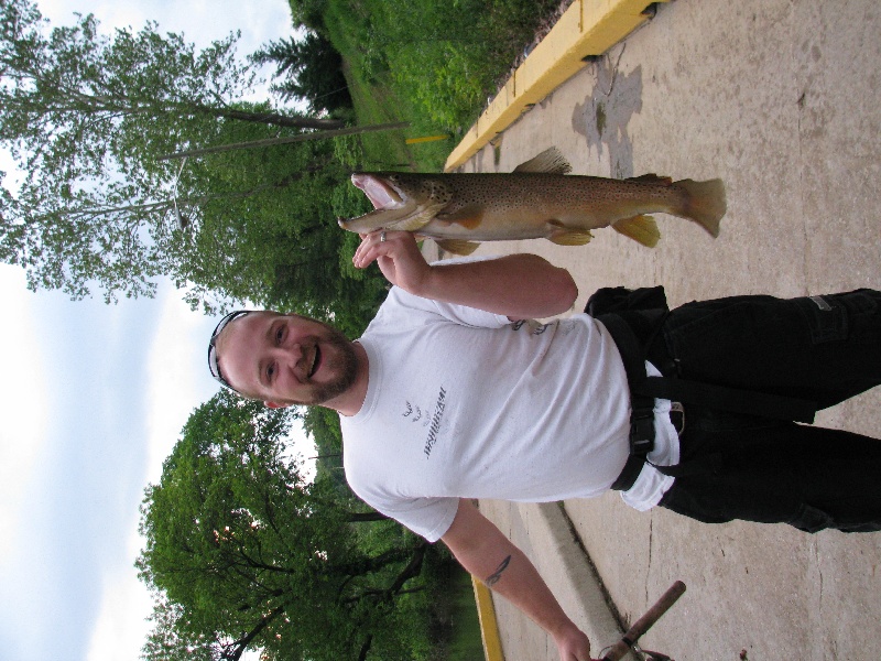 Big Brown near Daleville