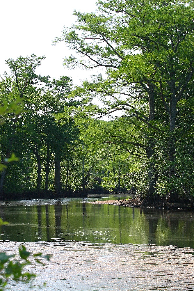 Chickahominy Lake by Terri Aigner near Claremont