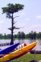 Chickahominy Lake