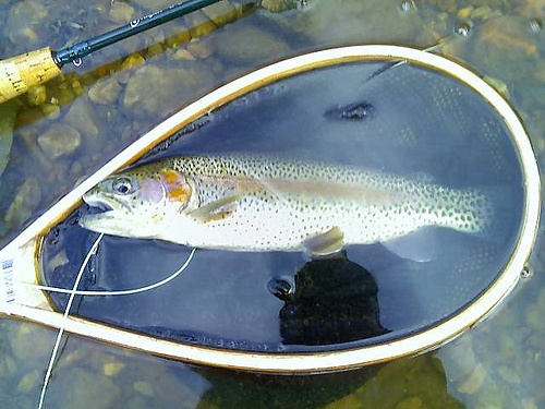 Franconia fishing photo 0