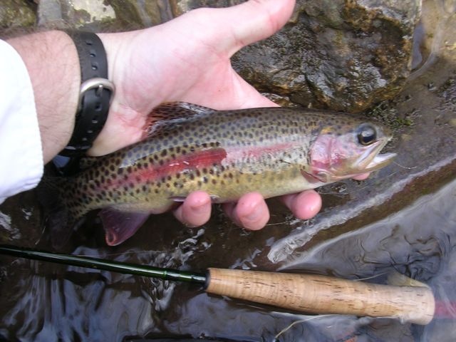 Little Stoney Rainbow near Pembroke