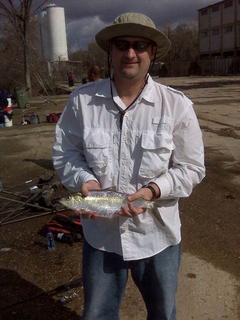 Hickory Shad near Claremont