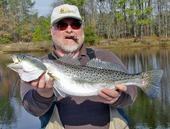 Speckled trout