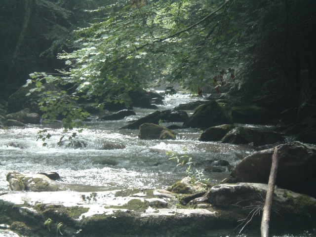 WT near Adwolf