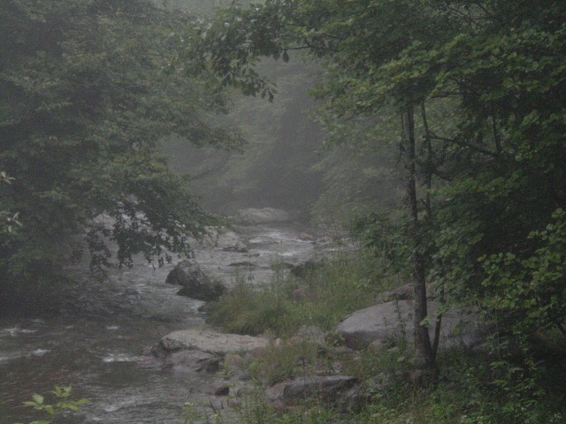WT near Adwolf