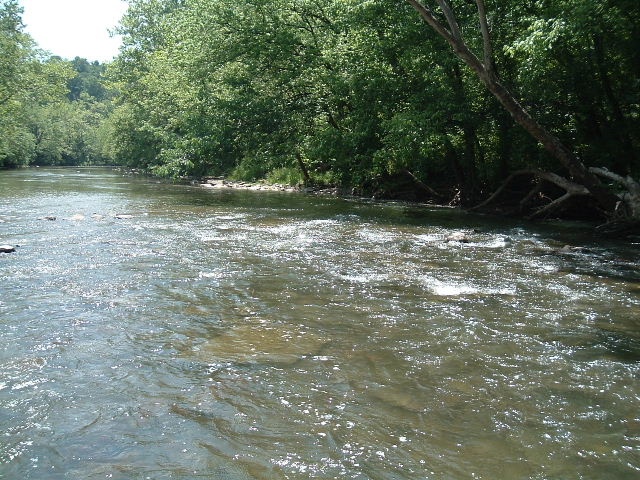 NF Holston near Chilhowie