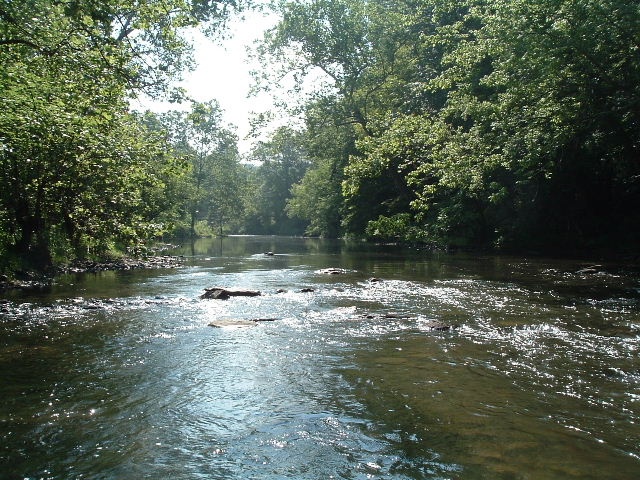 NR Holston near Atkins