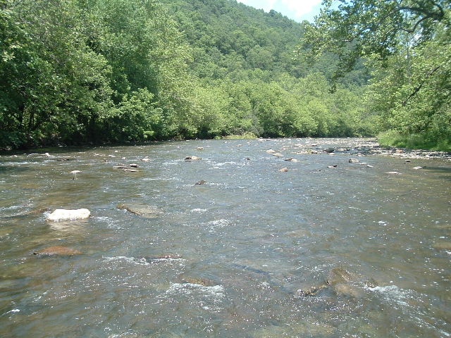 NF Holston near Raven