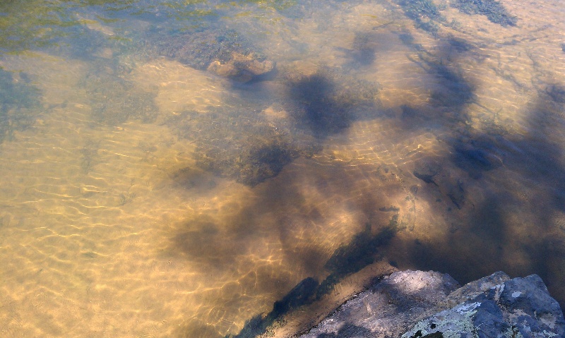 One of the calm areas near the rocks upstream