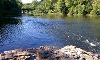 Rappahannock River (kelly's Ford)