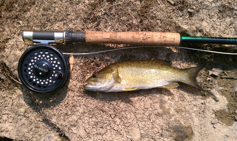 1st Smallmouth near Dulles Town Center