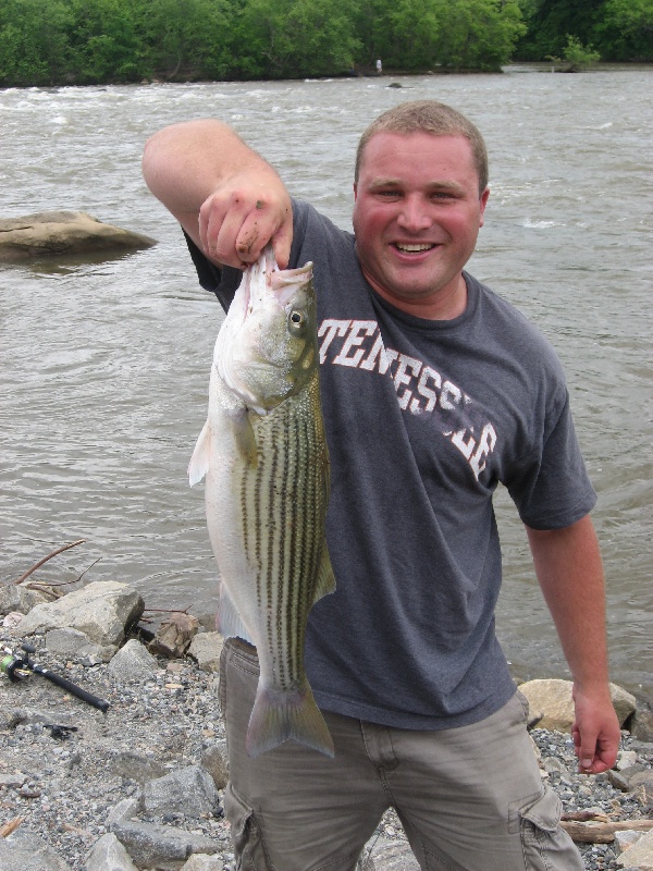 James River Striper near Bensley