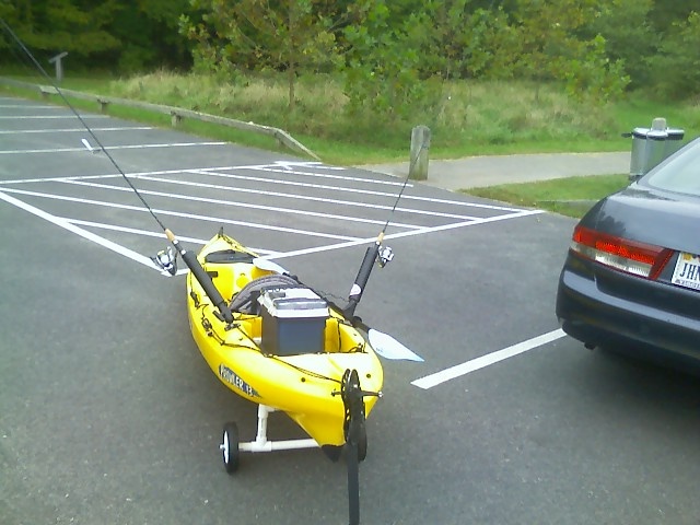 First yak trip near Chester