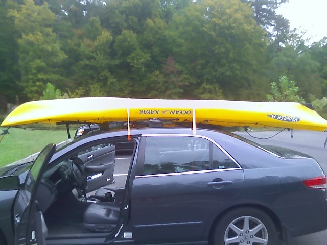 First yak trip near Ettrick