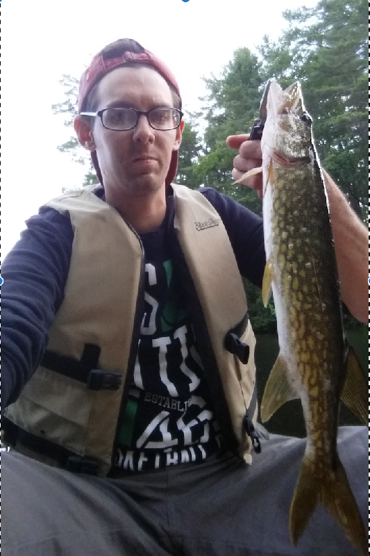 Pickerel 1lb