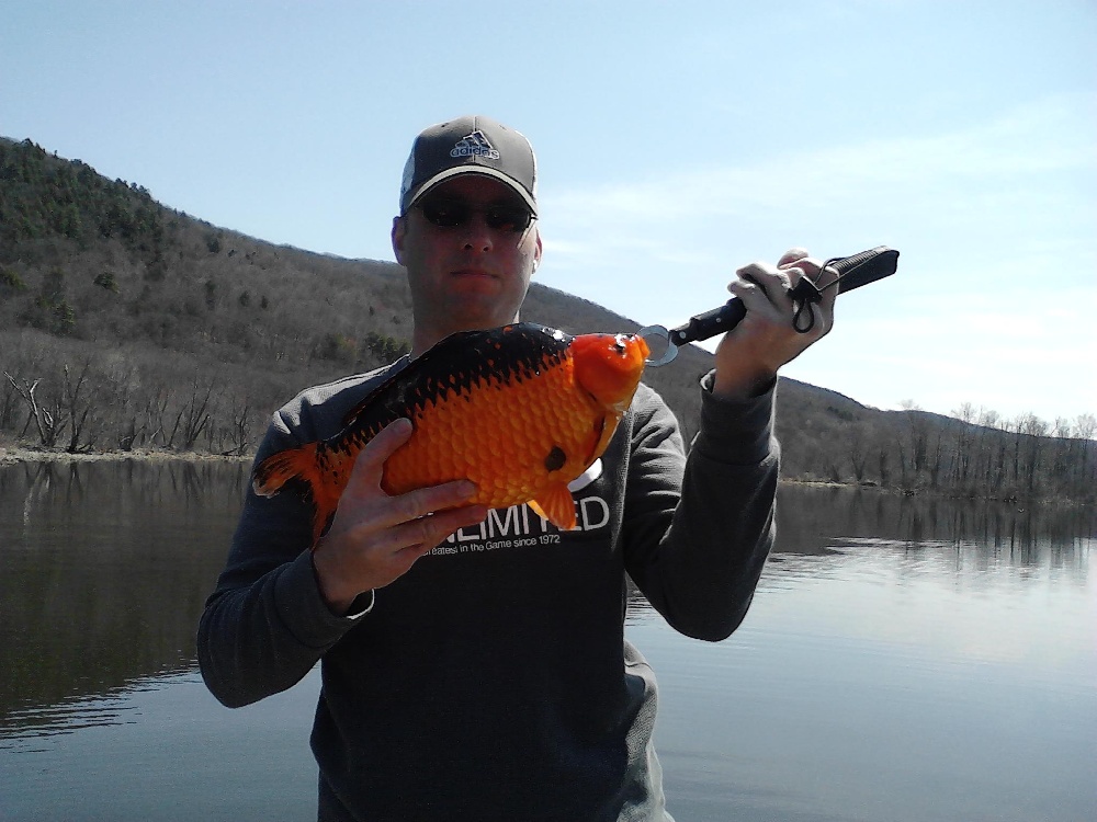 7 pound Orange Carp