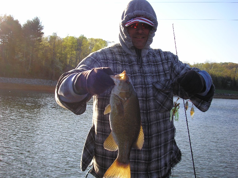 bronzback near Clinchport