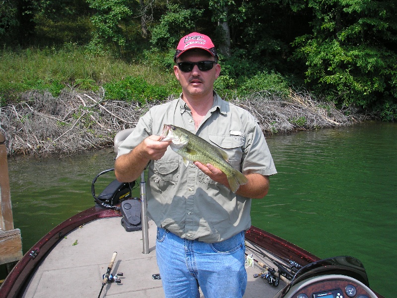 Largemouth on boone lake