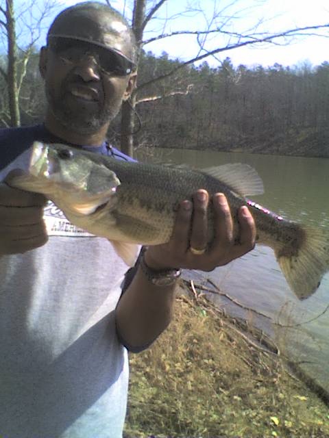 Second cast with artificial lizard near Elliston-Lafayette