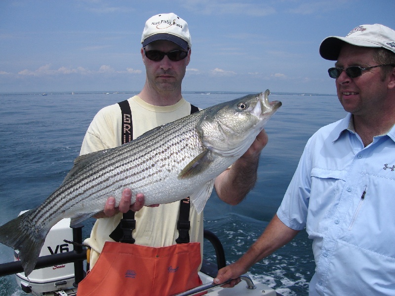 Saltwater fishing in Long Island Sound