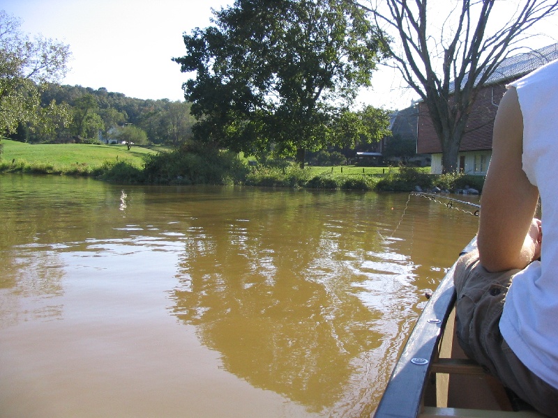 Muddy Water near Shenandoah