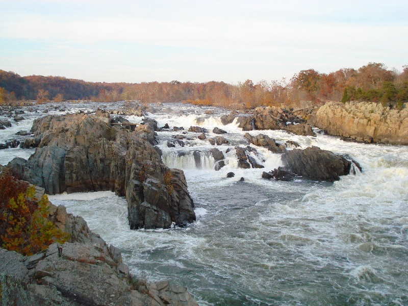 North Springfield fishing photo 3