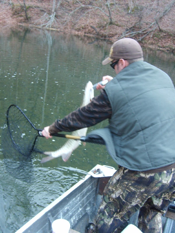 Hollins fishing photo 3