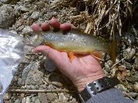 Rapidan River