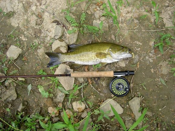 Goose Creek near Hillsboro