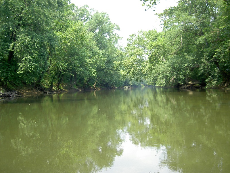 Dulles Town Center fishing photo 0