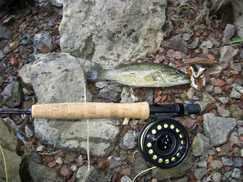 Dulles Town Center fishing photo 2