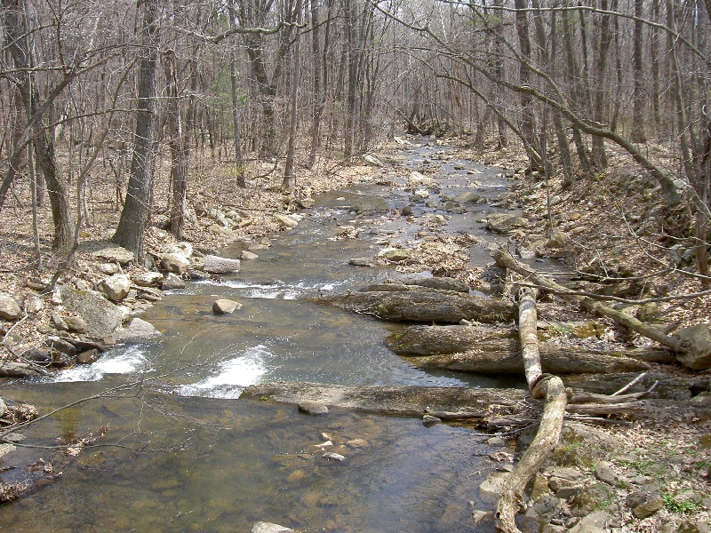 Toms Brook fishing photo 4