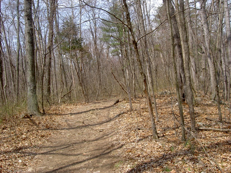 Toms Brook fishing photo 1