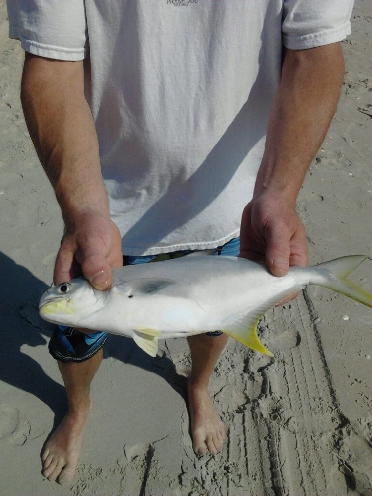 Pompano