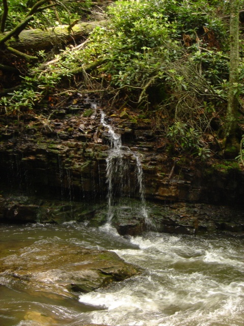 Pembroke fishing photo 4