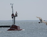 Chincoteague Bay