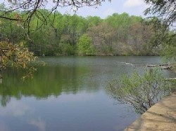 Albemarle Lake