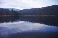 Lake Arrowhead