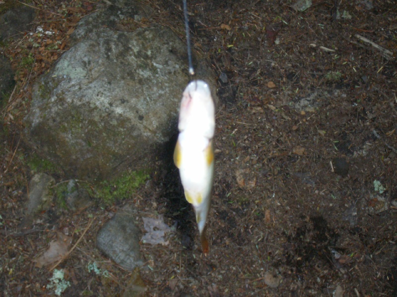 Emory-Meadow View fishing photo 5